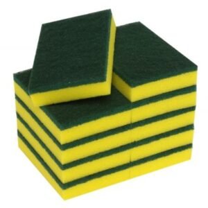 Sponge / Scourer